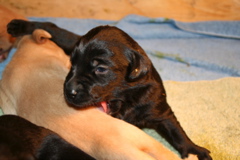 Eyes open - 2